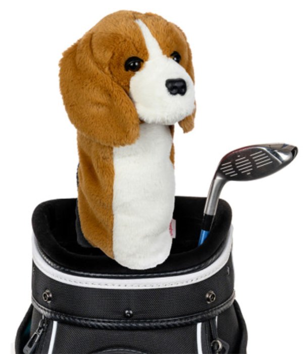 daphnesbeagleheadcover-2.jpg
