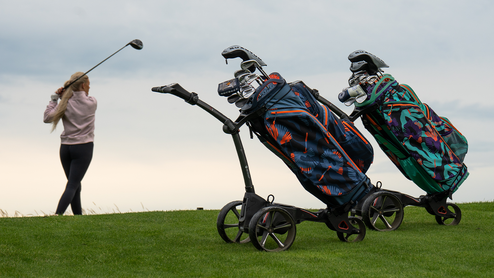 Golf stand and cart bags