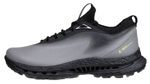 ECCO Men's BIOM C5 GTX Golf Shoes - Black/Steel